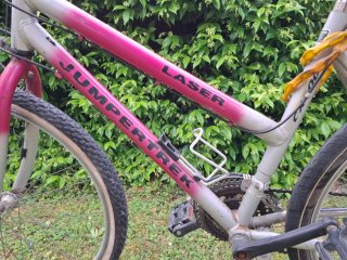 Bici da donna. Mountain bike. MTB.