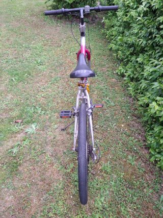 Bici da donna. Mountain bike. MTB.