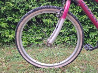 Bici da donna. Mountain bike. MTB.