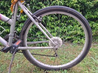 Bici da donna. Mountain bike. MTB.