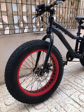 Bicicleta Fat Bike 20 Negra