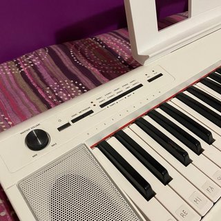 Teclado Yamaha Piaggero NP-12
