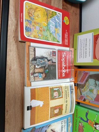 Lote 9 Libros Lectura Infantil y Juvenil