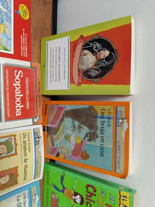 Lote 9 Libros Lectura Infantil y Juvenil