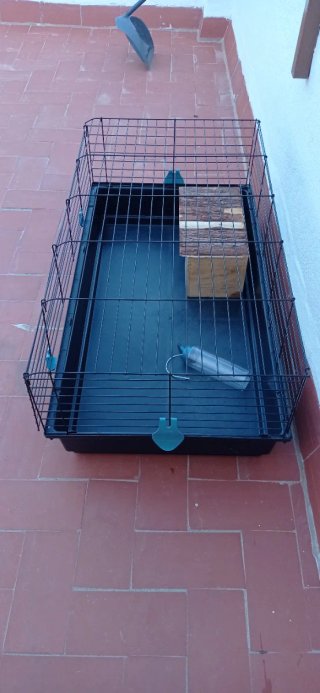 Jaula para conejo con accesorios
