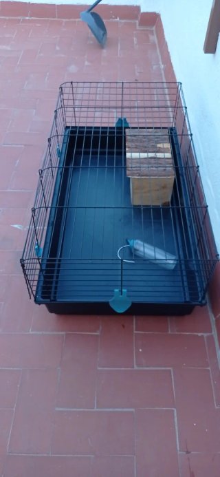 Jaula para conejo con accesorios