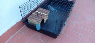 Jaula para conejo con accesorios