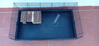 Jaula para conejo con accesorios