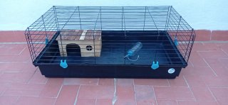 Jaula para conejo con accesorios