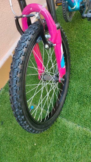 Bicicleta infantil 20 niña niño
