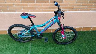 Bicicleta infantil 20 niña niño