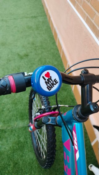 Bicicleta infantil 20 niña niño