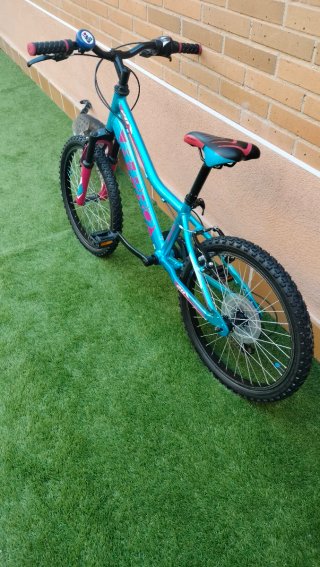 Bicicleta infantil 20 niña niño