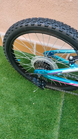 Bicicleta infantil 20 niña niño