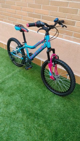 Bicicleta infantil 20 niña niño