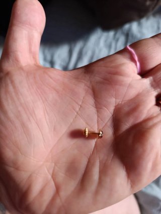Pendientes Mariquitas