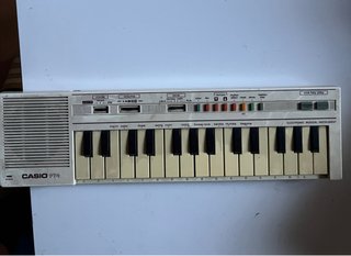 Teclado Casio PTM-1