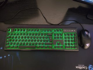 Teclado Gaming Razer Ornata Chroma