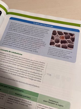 Libro de Biología 2º Bachillerato