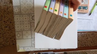 One Piece (1 al 8, castellano)