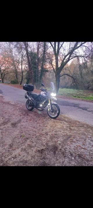 Triumph Tiger 800 XR