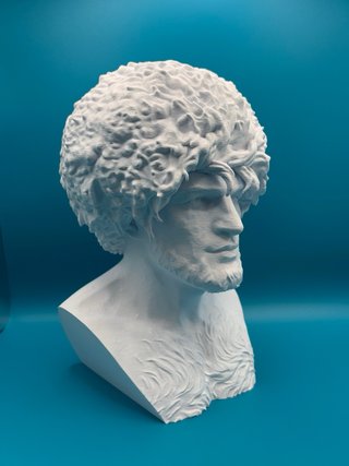 Busto 25cm Stampa 3D khabib
