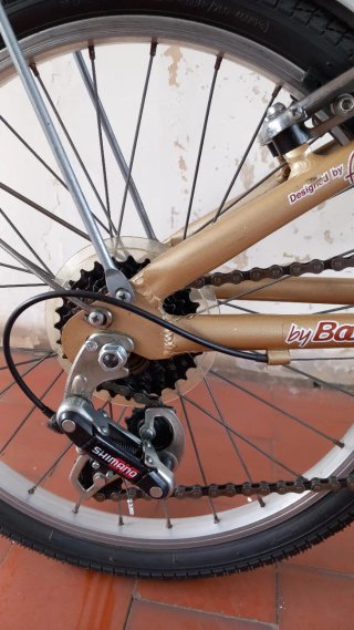 Bicicleta Plegable Urbana