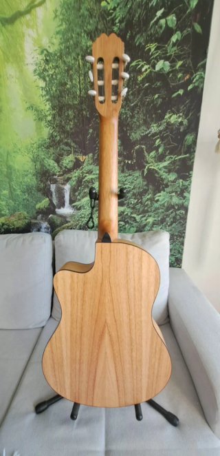 Guitarra Clásica Electrificada
