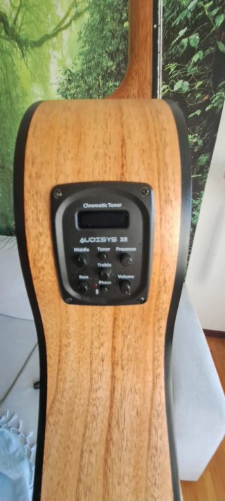 Guitarra Clásica Electrificada