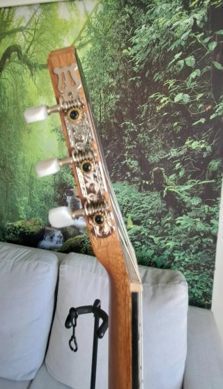 Guitarra Clásica Electrificada