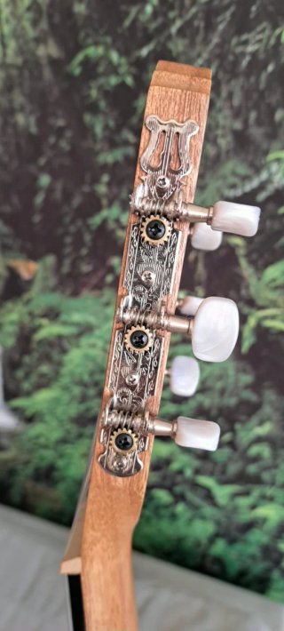 Guitarra Clásica Electrificada
