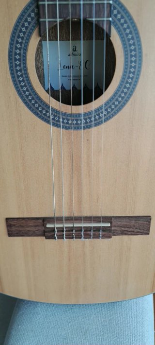 Guitarra Clásica Electrificada