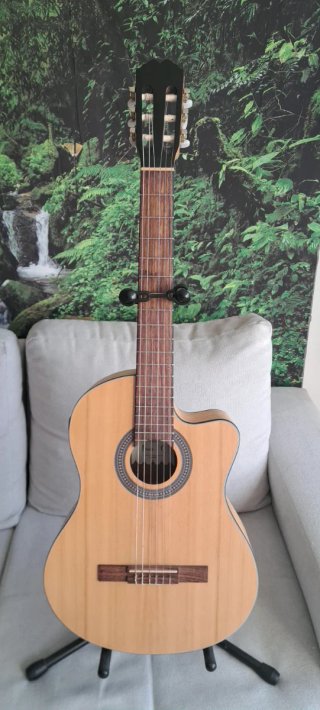 Guitarra Clásica Electrificada
