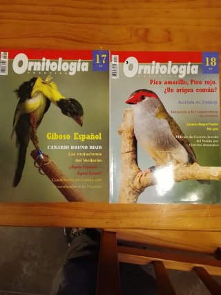 Revista ornitologia