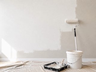 Pintor- casas, patios y mas