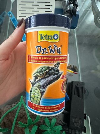 Acuario tortugas/peces