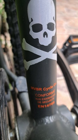Bicicleta MTB WYLDEE 20 Negra/Naranja