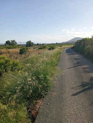 Terreno con casa y piscina.son diez taullas .