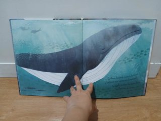 Libro infantil  Te regalo el mundo