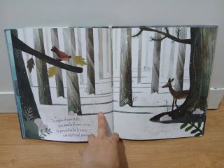 Libro infantil  Te regalo el mundo