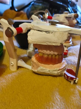 Articulador prótesis dental