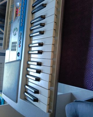Teclado Electrónico Shen Kong SK-530