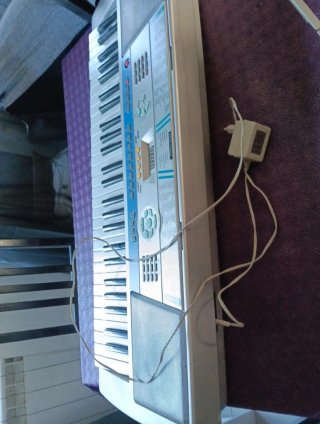 Teclado Electrónico Shen Kong SK-530