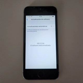 iPhone 5s Plata/Gris Sideral 16GB A1457