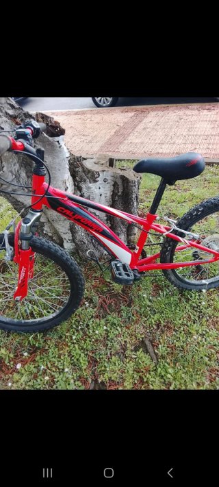 Bicicleta California Roja