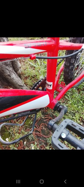 Bicicleta California Roja
