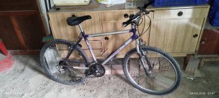 Bicicleta Mountain Bike Aluminio