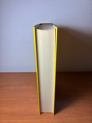 The Casual Vacancy