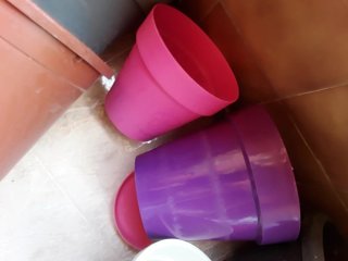 Macetas de plástico (beige y morado)dos rojas,