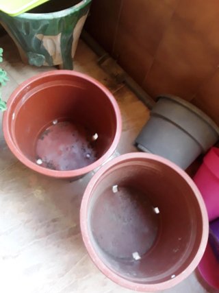 Macetas de plástico (beige y morado)dos rojas,
